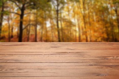Empty wooden table in beautiful autumn park on sunny day