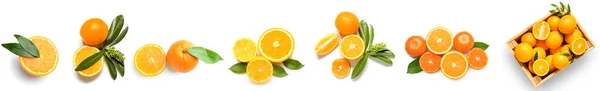 Set Sweet Ripe Oranges Tangerines Isolated White — Foto Stock