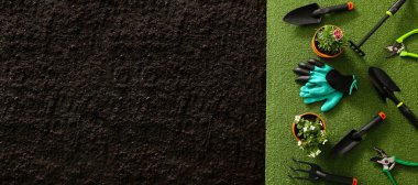 Supplies for gardening and blooming plants outdoors, top view. Banner for design