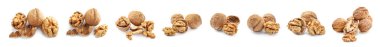 Set of tasty walnuts isolated on white