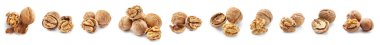 Set of tasty walnuts isolated on white