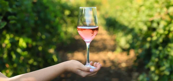 Female Hand Holding Glass Tasty Wine Vineyard — Foto de Stock