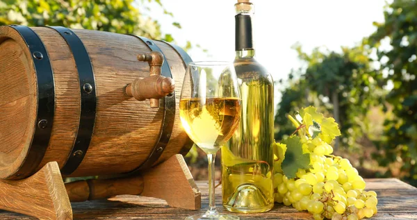 Baril Verre Bouteille Vin Blanc Sur Table Dans Vignoble — Photo