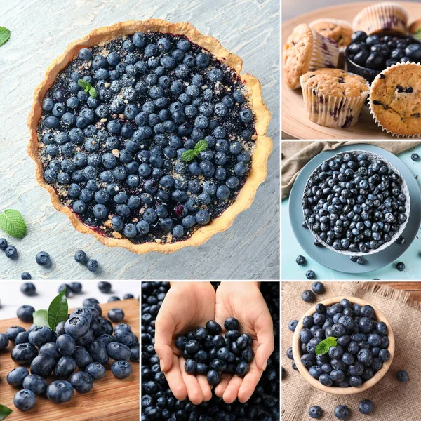 Collage Sweet Blueberry Desserts Berries — Stock Fotó
