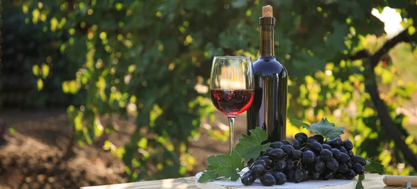 Tasty Red Wine Ripe Grapes Table Vineyard — Stock Fotó