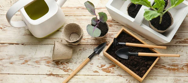 Gardening Supplies Plants Wooden Background Top View Banner Design — Fotografia de Stock