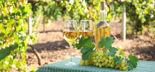 Tasty White Wine Ripe Grapes Table Vineyard — Stockfoto