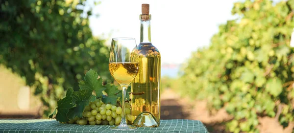 Tasty White Wine Table Vineyard — Foto Stock