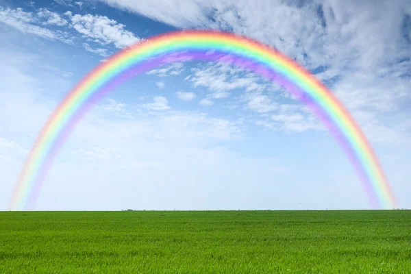 View of field and rainbow in sky on summer day