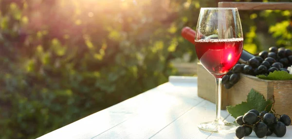 Glass Red Wine White Table Vineyard Sunny Day — 图库照片