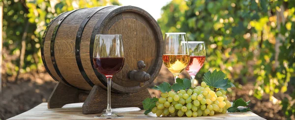Barrel Glasses Tasty Wine Ripe Grapes Table Vineyard — Stock Fotó