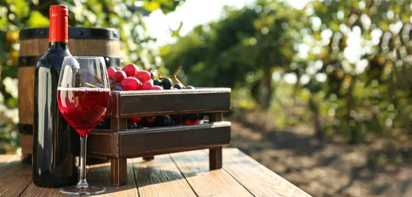 Bottle Glass Red Wine Fresh Grapes Barrel Wooden Table Vineyard — Stock Fotó