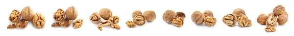 Set Tasty Walnuts Isolated White — Stock fotografie