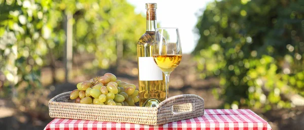 Bottle Glass Tasty Wine Ripe Grapes Table Vineyard — Foto Stock