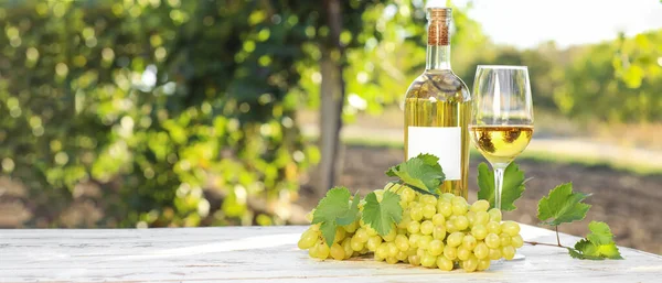 Bottle Glass White Wine Ripe Grapes Table Vineyard — Stock fotografie