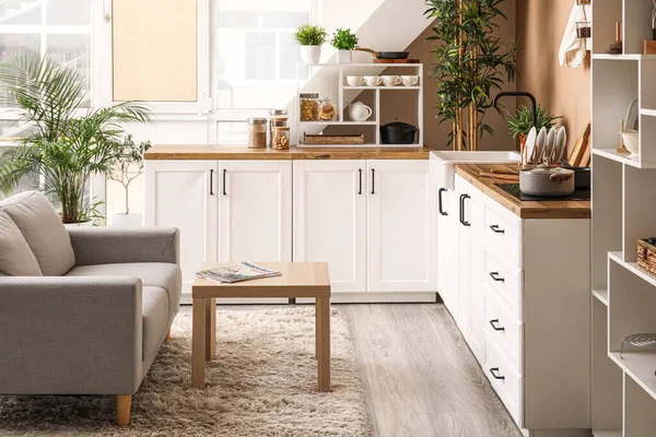 Interior Stylish Kitchen White Counters Utensils Houseplants — Stockfoto