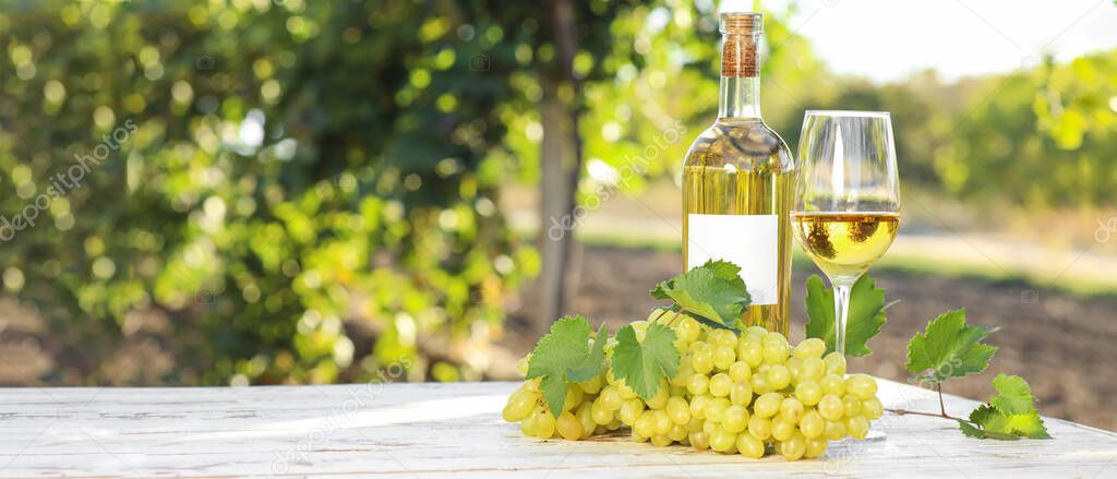Bottle and glass of white wine with ripe grapes on table in vineyard