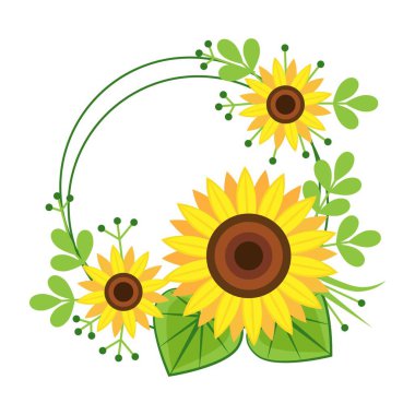 Frame with beautiful sunflowers on white background