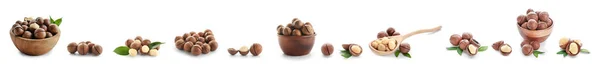 Set Tasty Macadamia Nuts White Background — Foto Stock