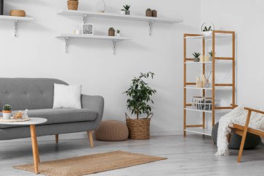 Interior of cozy living room with sofa, shelves and houseplants