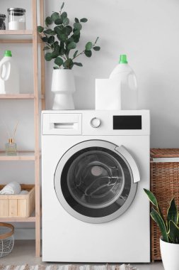 Vase with eucalyptus branches and detergent on washing machine in laundry room