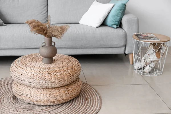 Vase Pampas Grass Rattan Poufs Living Room — Stock Fotó