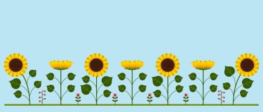 Many sunflowers on light blue background