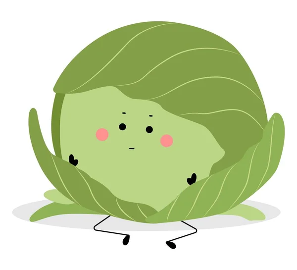 Funny Cabbage White Background — ストックベクタ