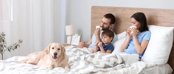 Family Ill Flu Bed — Stockfoto