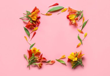 Frame made of beautiful alstroemeria flowers on pink background