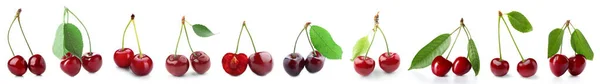 Set Sweet Ripe Cherries Isolated White —  Fotos de Stock