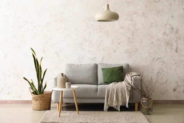 Sofa Table Houseplant Interior Light Living Room — Stock Photo, Image