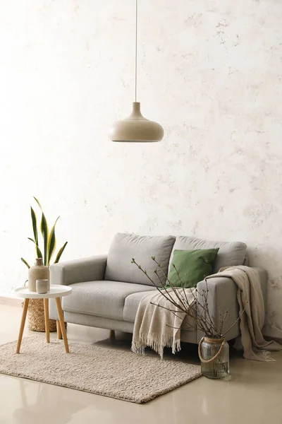 Sofa Table Houseplant Interior Light Living Room — Stock Fotó