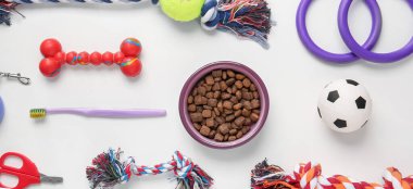 Different pet accessories and food on white background, top view