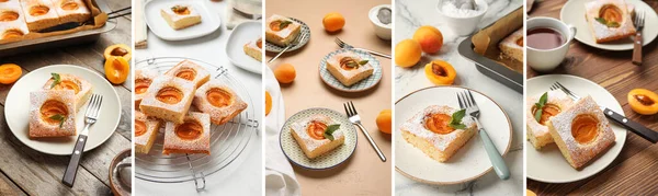 Collage with pieces of tasty apricot pie
