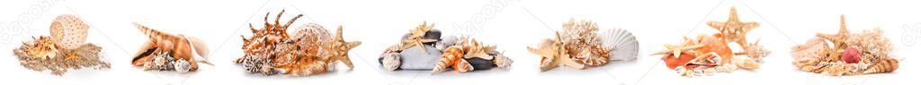Set of different sea shells isolated on white