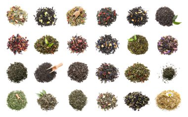 Different types of dry tea on white background, top view