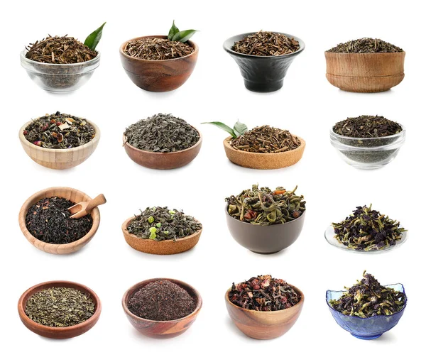 Bowls Different Types Dry Tea White Background — Stockfoto