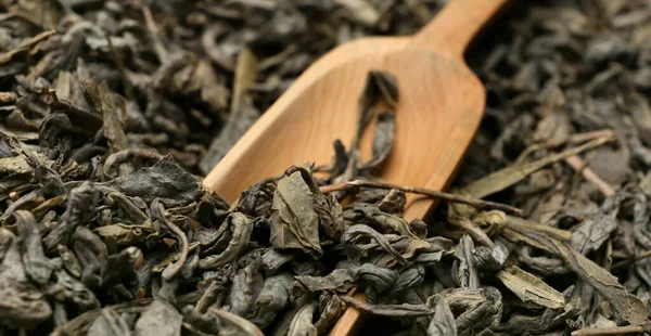 Dry Green Tea Leaves Scoop Closeup — Stock Photo, Image