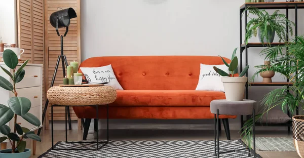 Stylish Interior Modern Living Room Comfortable Sofa Houseplants — Stockfoto