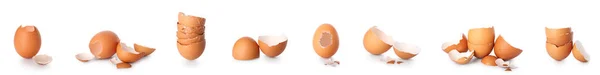 Σύνολο Θραυσμένων Κελυφών Αυγών Λευκό Φόντο — Φωτογραφία Αρχείου