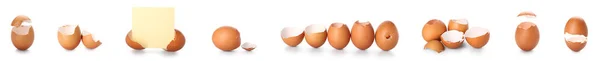 Set Broken Egg Shells White Background — Stock fotografie