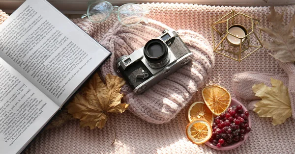 Autumn Composition Book Knitted Hat Photo Camera Berries Plaid Top — Stock fotografie