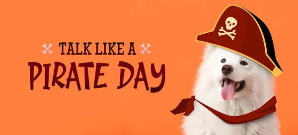 Banner with cute Samoyed dog and text TALK LIKE A PIRATE DAY on orange background