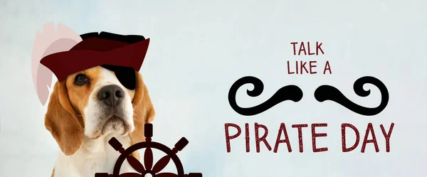 Cute dog and text TALK LIKE A PIRATE DAY on light background