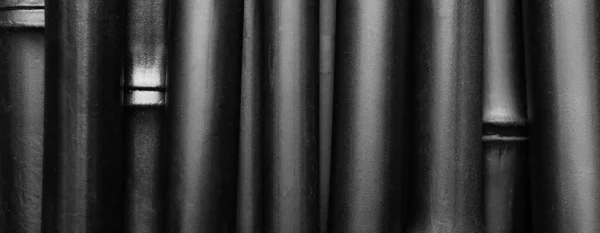 Black bamboo, closeup. Banner for design