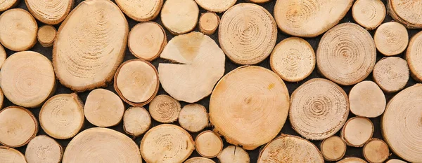 Wooden Logs Banner Design — 스톡 사진