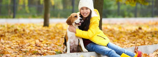 Little Asian Girl Her Beagle Dog Walking Autumn Park — ストック写真