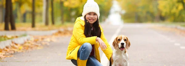 Little Asian Girl Her Cute Beagle Dog Walking Autumn Park — Fotografia de Stock