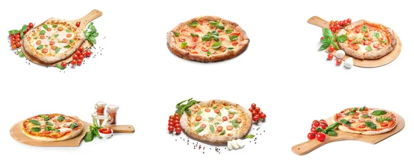 Set Tasty Pizza Margarita Isolated White — Stockfoto